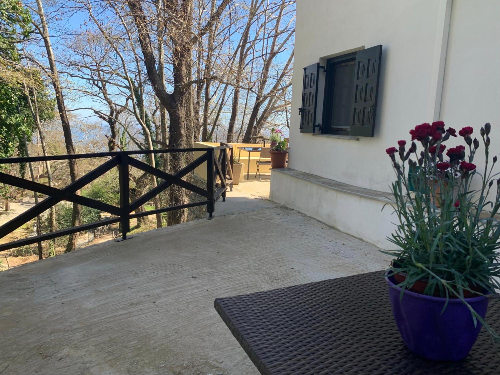 Pelion 7 Lives Villa Cangaráda Kültér fotó